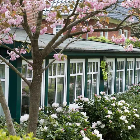 Nils Holgersson - 4 * シュピーカーオーク